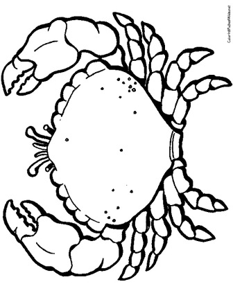 crab117