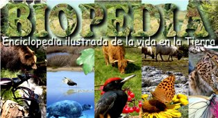 ecosistemas